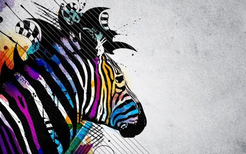 Image of Zebra